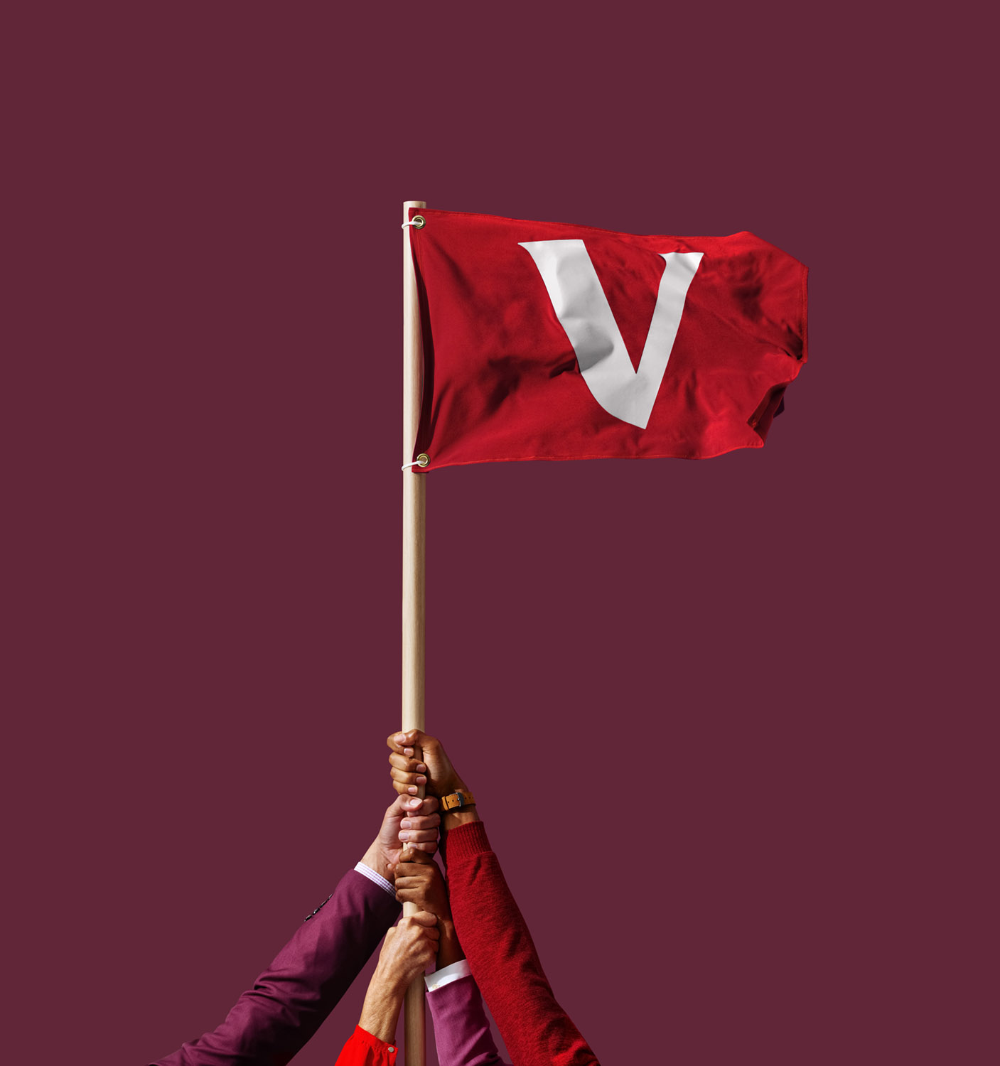 Vanguard_Flag