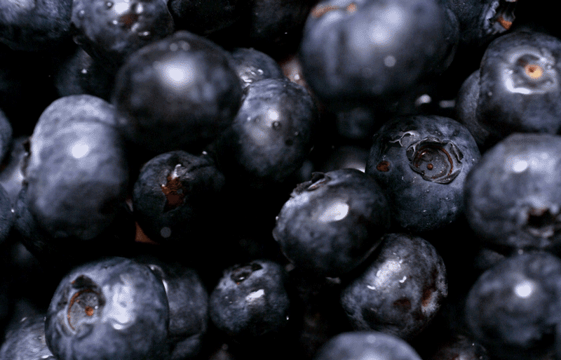 blueberries2
